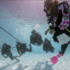 Formación profesional de buceo (PADI Divemaster)