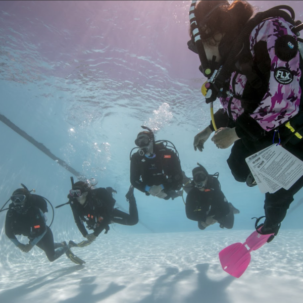 Formación profesional de buceo (PADI Divemaster)