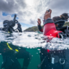 Formación profesional de buceo (PADI Divemaster)