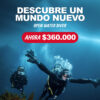Curso de iniciación al buceo (PADI Open Water Diver)