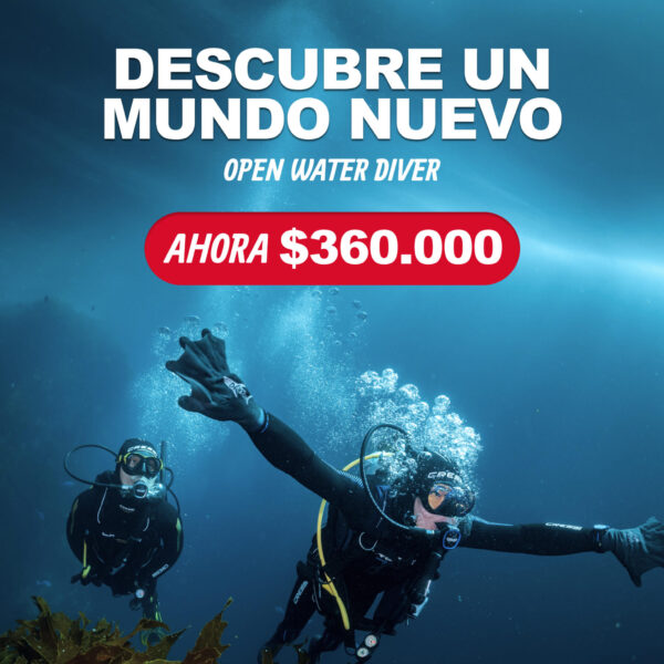 Curso de iniciación al buceo (PADI Open Water Diver)