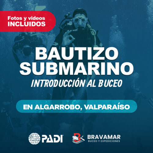 Bautismo Submarino