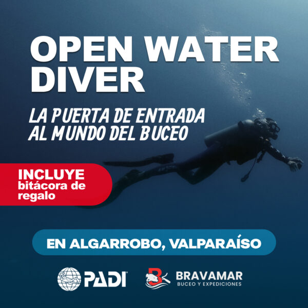 Curso de iniciación al buceo (PADI Open Water Diver)