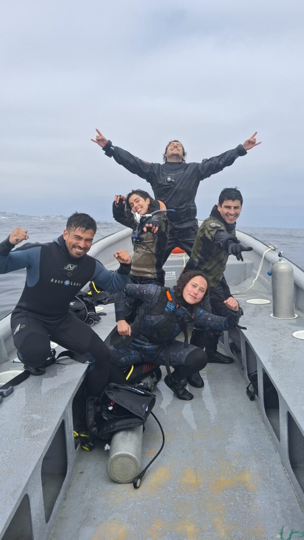 Curso de iniciación al buceo (PADI Open Water Diver)