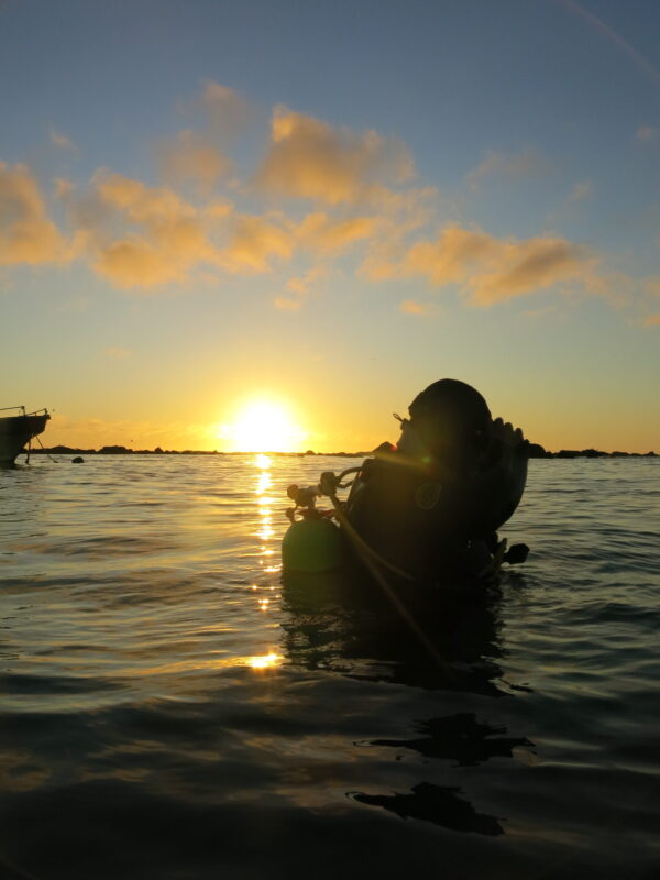 Curso avanzado de buceo recreativo (PADI Advanced Open Water Diver)