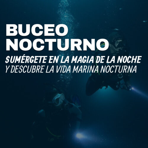 Especialidad de buceo nocturno (PADI Night Diver)