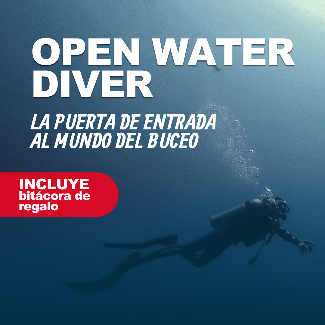 ¡Certifíquense en Familia! (Pack 4 Open Water PADI + Asado y Regalos)