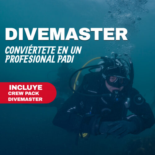 Formación profesional de buceo (PADI Divemaster)