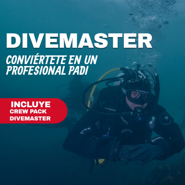 Formación profesional de buceo (PADI Divemaster)