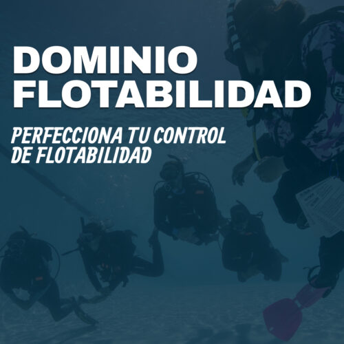 Especialidad de dominio de la flotabilidad (PADI Peak Performance Buoyancy)