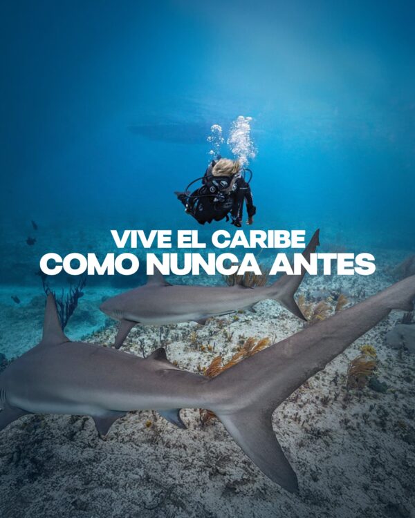 Expedición internacional de buceo a San Andrés y Providencia