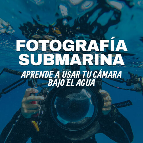 Especialidad de fotografía submarina (PADI Underwater Photographer)