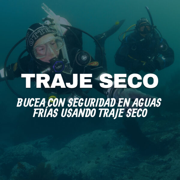 Especialidad de buceo con traje seco (PADI Dry Suit Diver)