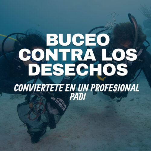 Especialidad Buceo Contra los Desechos (PADI Dive Against Debris)