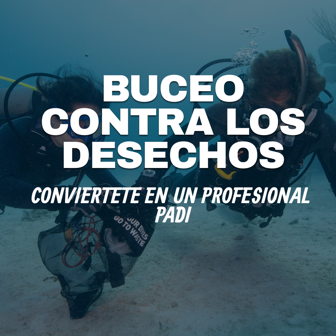Especialidad Buceo Contra los Desechos (PADI Dive Against Debris)