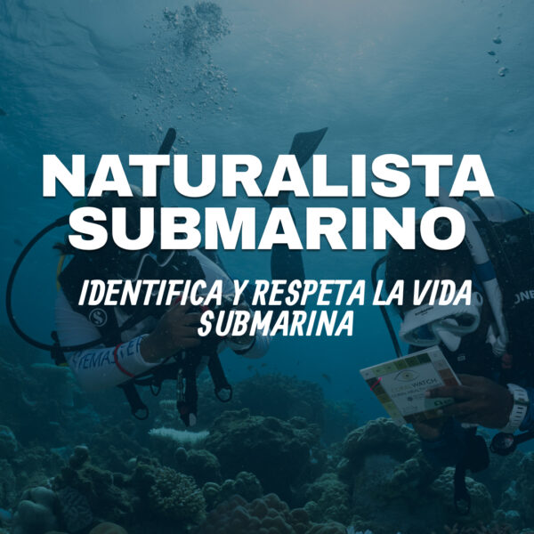 Especialidad de naturalista submarino (PADI Underwater Naturalist)