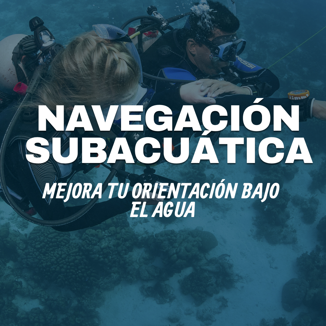 Especialidad de navegación subacuática (PADI Underwater Navigator)