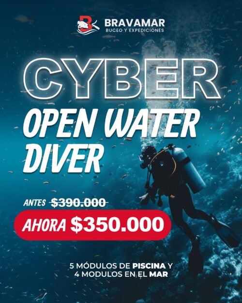 Curso de iniciación al buceo (PADI Open Water Diver)