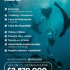 Post 17.6 Expedición de Buceo en Juan Fernández (Viaje Premium de 8 Días)