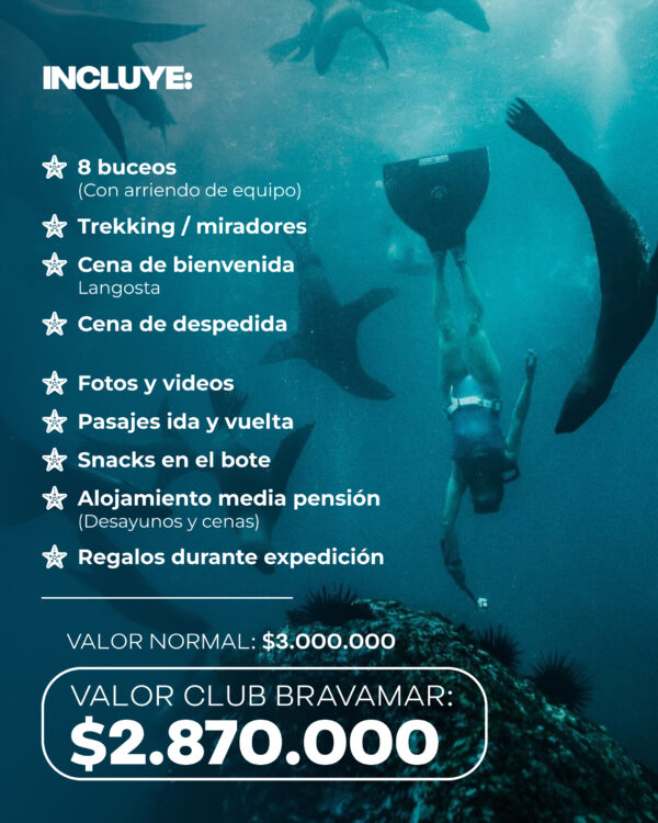 Post 17.6 Expedición de Buceo en Juan Fernández (Viaje Premium de 8 Días)