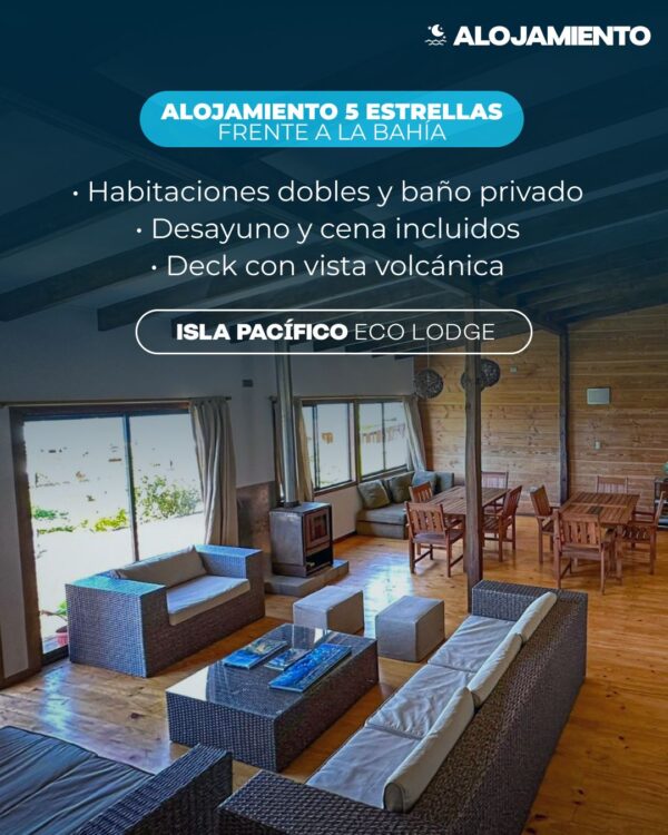 WhatsApp Image 2025-12-03 at 16.49.54 (2) Expedición de Buceo en Juan Fernández (Viaje Premium de 8 Días)