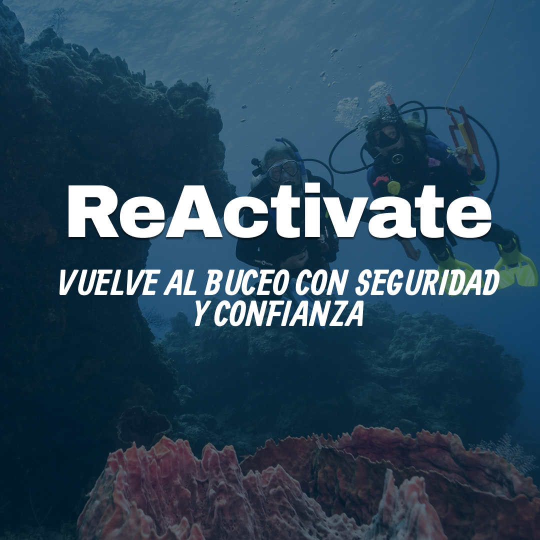 Vuelve a bucear con confianza (PADI ReActivate en Algarrobo)