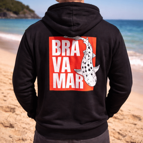 file_00000000deec720e83b4c624fa79951b Poleron Bravamar — Hoodie Oficial del Centro de Buceo Bravamar