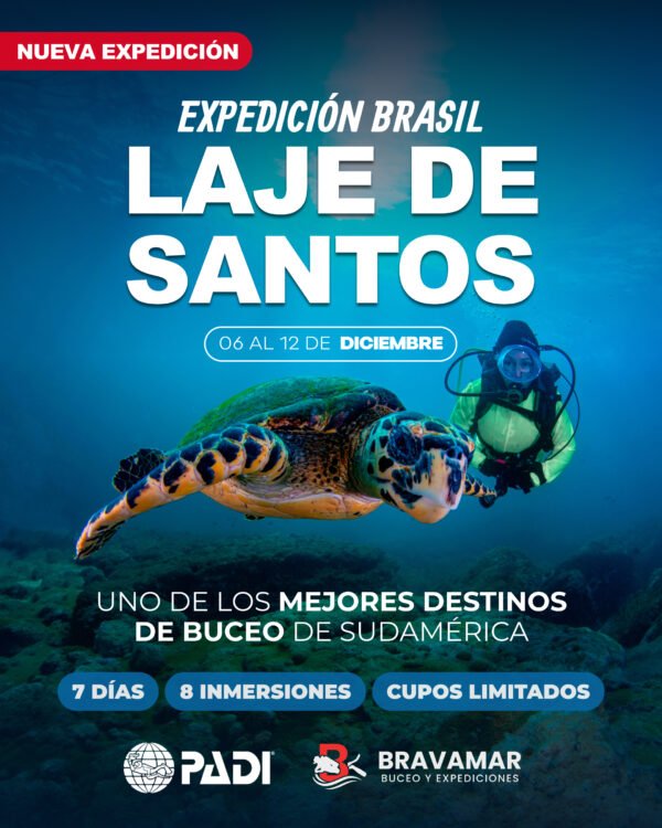 Post 19.1 Expedición Laje de Santos, Brasil