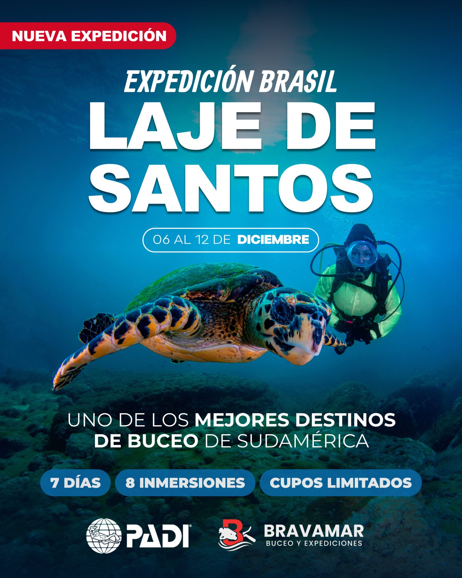 Expedición Laje de Santos, Brasil
